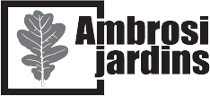 logo ambrosi